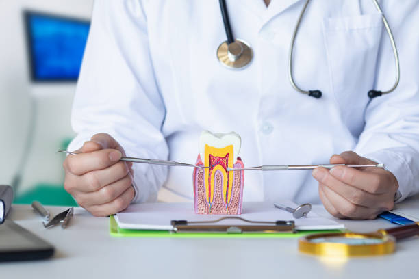 Best Emergency Tooth Extraction in Mount Airy, NC